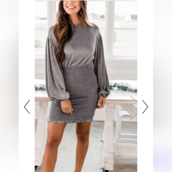 Pink Lily Dresses & Skirts - Pink Lily balloon sleeve sparkly silver dress